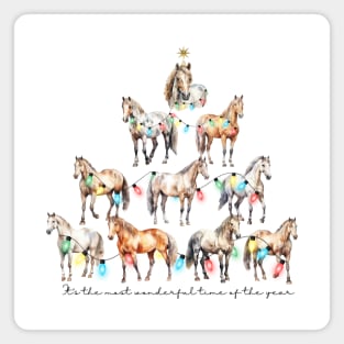 Equine Greetings Magnet